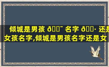 倾城是男孩 🐯 名字 🕷 还是女孩名字,倾城是男孩名字还是女孩名字好听